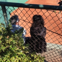 Club de Tenis La Reina_Torneo Dobles Carlos Orrego 2019_0021